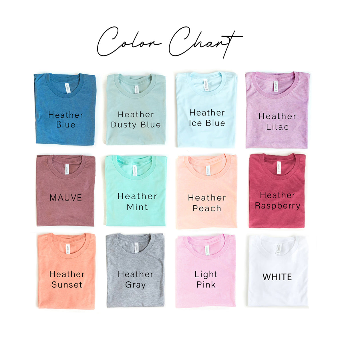 Show Me your Pitties T-shirt